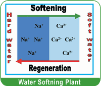 Softning Regeneration